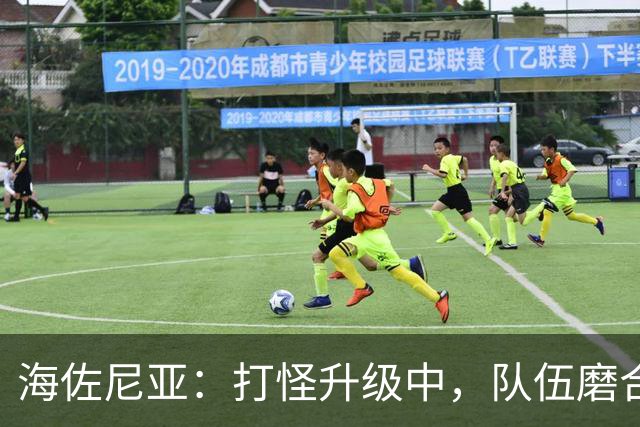 海佐尼亚：打怪升级中，队伍磨合有点儿慢，但我们在努力！